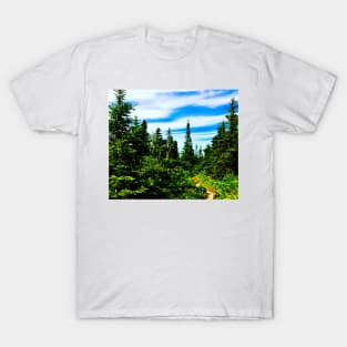 Trail hike through the pines T-Shirt